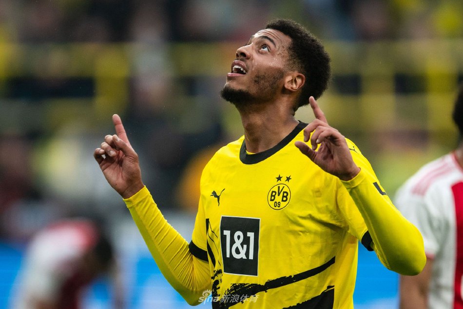 效力于本菲 效力于本菲